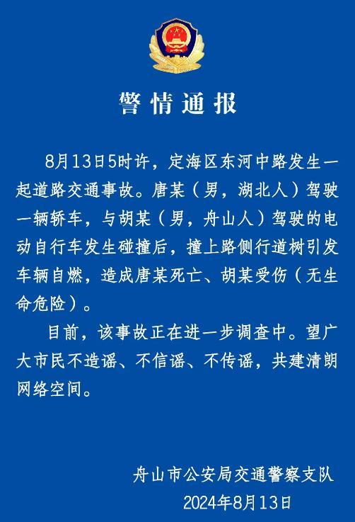 浙江一轿车撞树后自燃 司机身亡