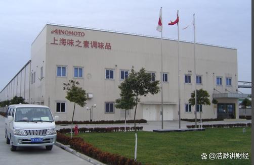味精厂为何成全球AI“隐形霸主” 厨房里的秘密武器