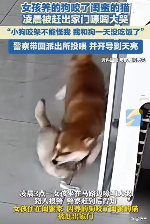 女孩被閨蜜趕出家門民警徹夜開導(dǎo)