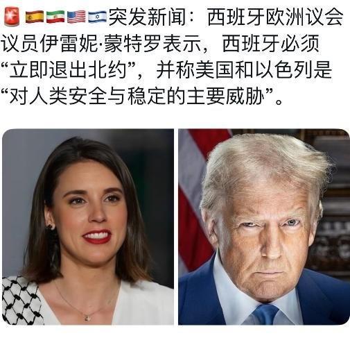 欧洲议会议员怒斥美以支持者