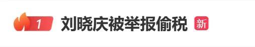 稅務(wù)部門調(diào)查劉曉慶偷稅 再次引發(fā)公眾關(guān)注