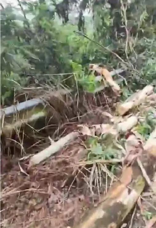 廣西北流暴雨引發(fā)滑坡 洪水致多地受災(zāi)