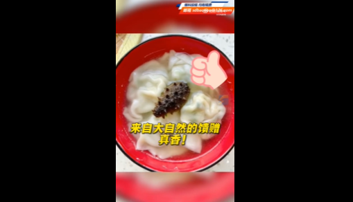 女子赶海意外捡到大量罕见紫房蛤