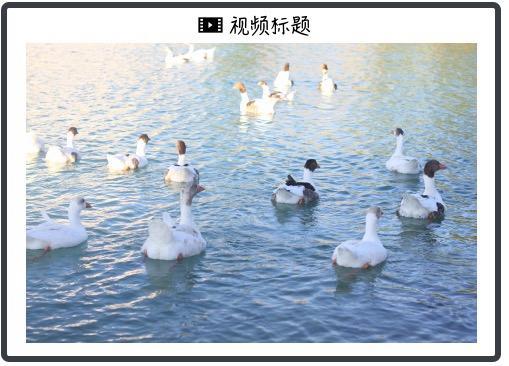 黃金真正的風(fēng)險(xiǎn)出現(xiàn)了 金發(fā)姑娘行情打壓金價(jià)