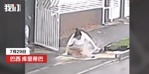 巴西女子捡手机3人先后掉入大坑，施救者一个接一个掉进去