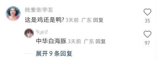 “大湾鸡”开心到转圈圈 顶流吉祥物出圈记