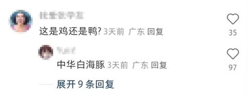 大湾鸡还有混血的 吉祥物出圈记
