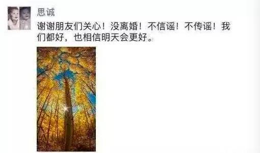 佟丽娅受访首次公开离婚细节 勇敢面对情感变化