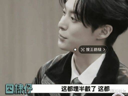王鹤棣东说念主皮客栈录制技术不愉快 敏锐并非脆弱