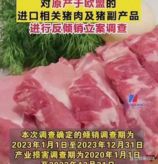 中国反制稳准狠！欧盟已经来不及后悔 自食恶果教训深刻