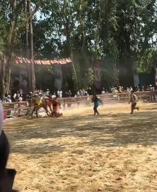 广州长隆女员工坠马被拖行 现场紧急情况得到控制