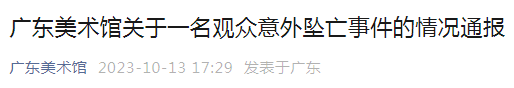 高校女副教授看展时坠亡 最新通报：在找寻拍摄角度时发生意外