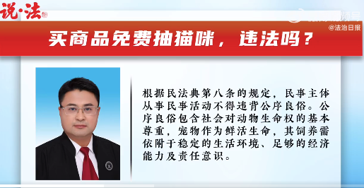 买脱毛仪送猫这波操作违法了！宣传买商品送猫实际送基金属虚假广告