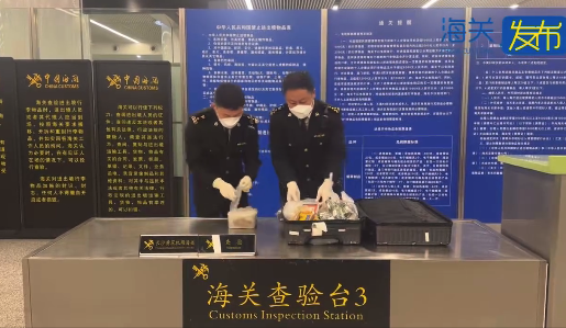 海关查获老鼠肉干酱汤蚂蚁卵等成品 