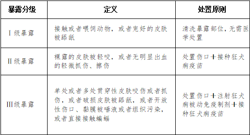 女子被流浪狗咬伤3天后狗死了 狂犬病阳性引担忧