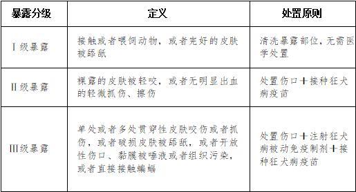 女子被狗咬伤3天后狗死了 狂犬病毒阳性引发担忧