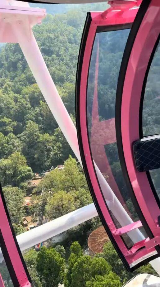 坐摩天轮升到高空发现工作人员忘关门 惊险经历引发关注