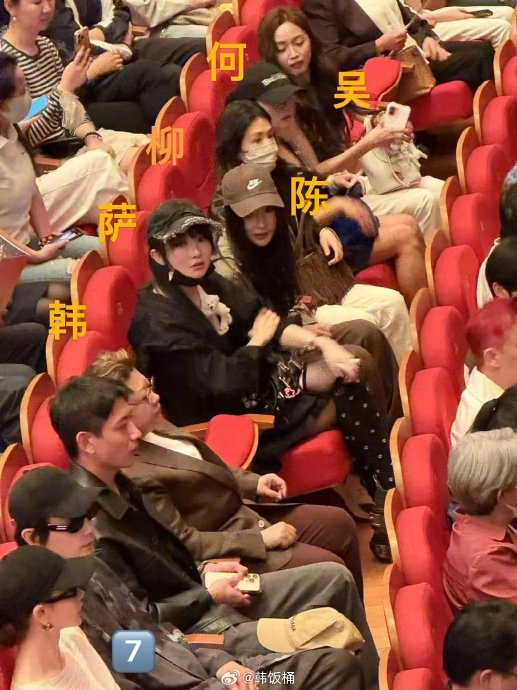 吴宣仪去看陈丽君的枕头人