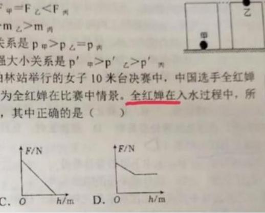 潘展乐全红婵已成考题 奥运金牌变身教材典范