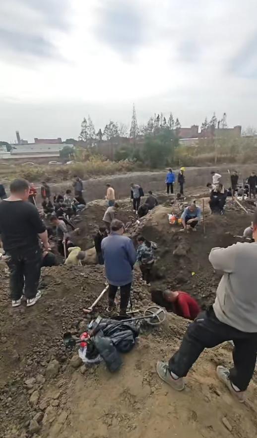 數(shù)十人在上海老宅挖銀元？600元轉(zhuǎn)賣