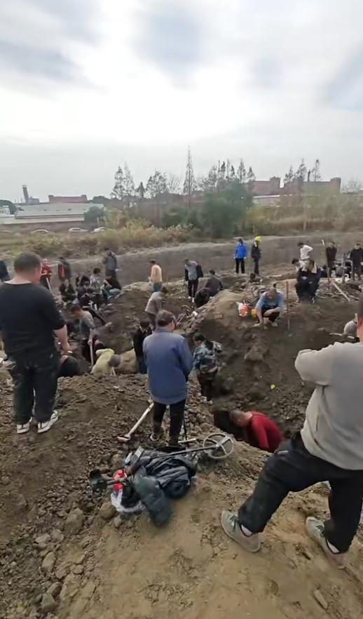 視頻 文物部門未收繳到工地出土銀元