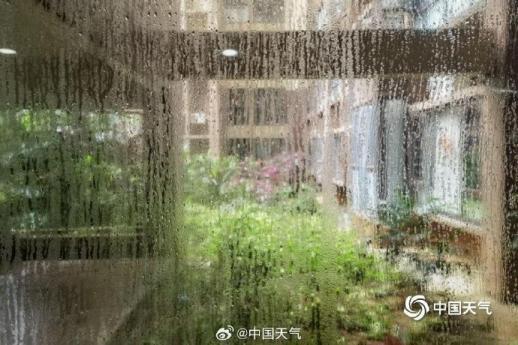 广西迎来“回南天”：墙面水珠密布，潮湿困扰居民