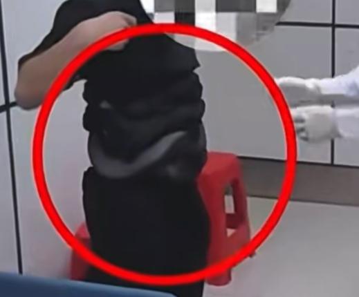 男子口袋藏活蟒蛇进境被查