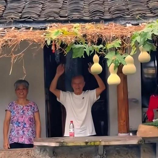 原版葫芦刚剪山寨葫芦来抢流量了 真葫芦摘下，假葫芦跟风