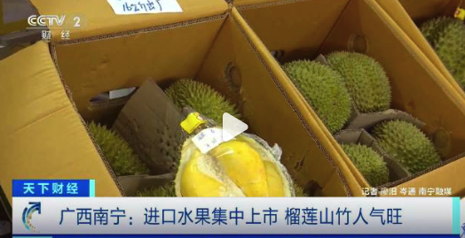 降價的風(fēng)終于吹到了榴蓮,！20元一斤的榴蓮給誰拿捏住了