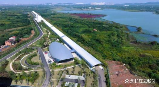 牢记总书记的嘱托丨一场科创赛道的“万马奔腾”