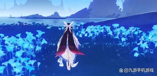 原神哥伦比娅 新角色技能详解