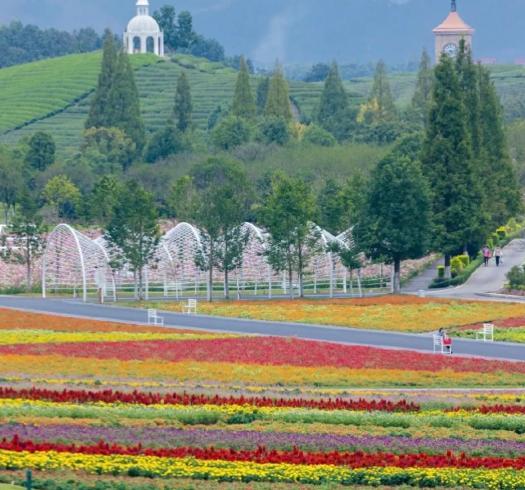 玉茗茶骨 一部剧带火一座城