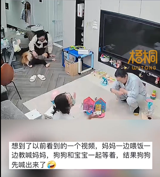 萌娃模仿狗狗倒地上求爸爸摸，萌娃模仿摸全全家笑翻了