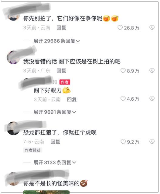 男子在云南玉溪采菌遇到3只老虎 官方通报：不造谣、不信谣、不传谣，