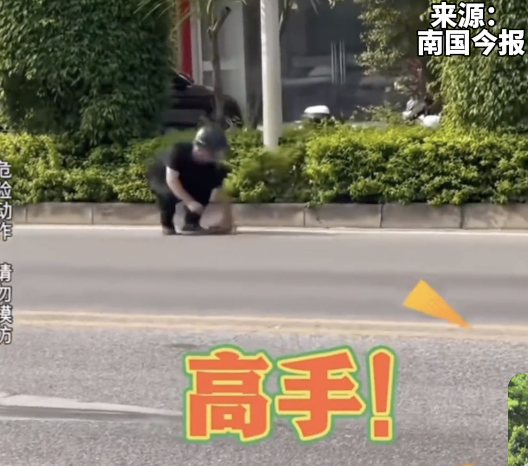 广西老表徒手抓起水中游动的蛇