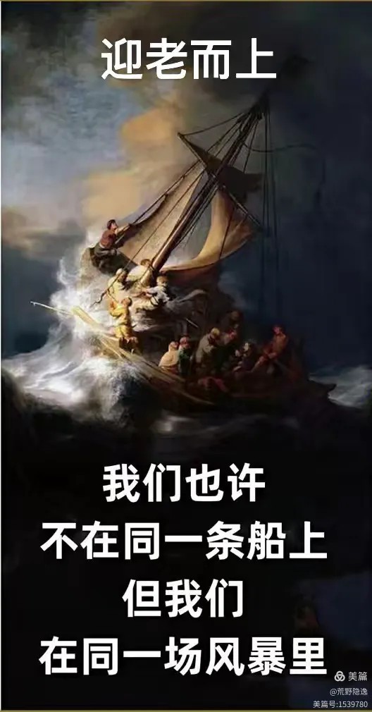 20251030104405388204.jpg 35.jpg