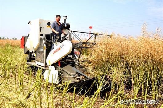 中国用激光种地了AI识别杂草 除草率可达95% 农业黑科技崛起