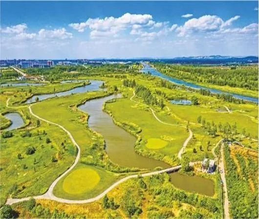 历史“馈赠”南四湖——济宁成为“国际湿地城市”背后