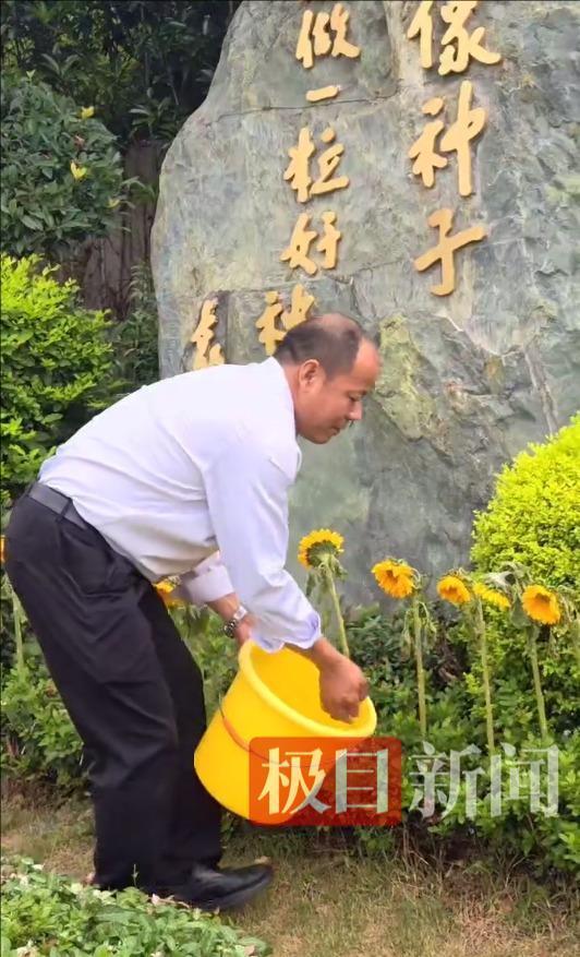 袁隆平逝世四周年 侄子獻(xiàn)枇杷祭奠