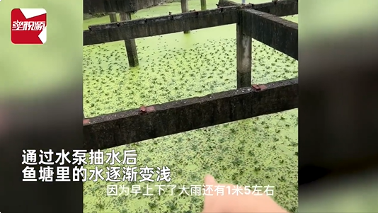 男子5万承包野鱼塘仅捞出4条鱼