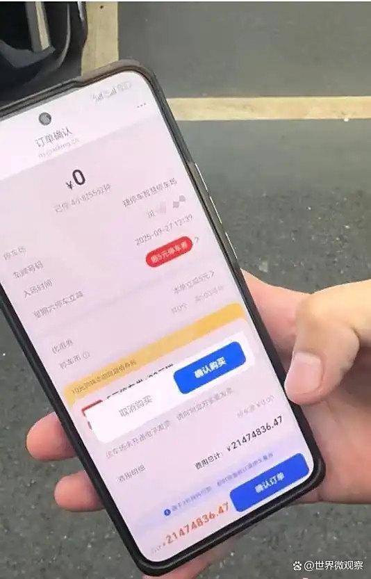 游客发视频称遭遇上千万元停车费 天价账单引发热议