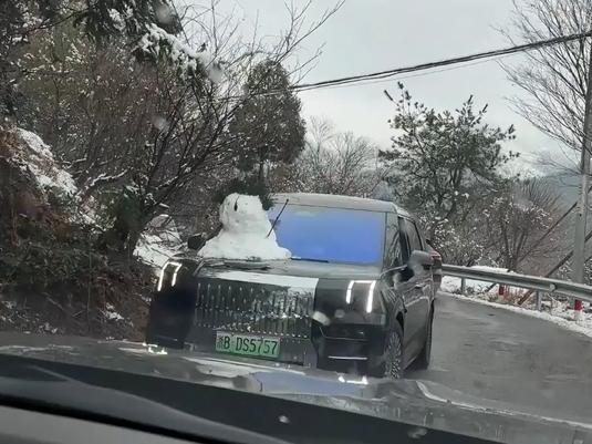 南方雪后車均一個雪人下山 創(chuàng)意堆雪人成熱點