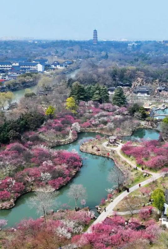 煙花三月下?lián)P州已經(jīng)具象化了 走進(jìn)古詩詞里的江南畫卷