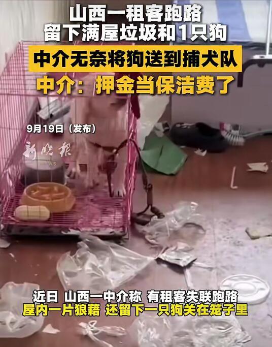 山西太原一租客失联跑路，留下满屋垃圾和一只狗