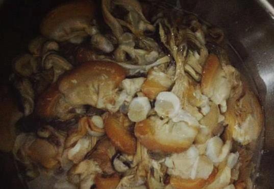 河蚌走红餐桌，蛋白质秒杀牛奶4倍，你敢不敢试？