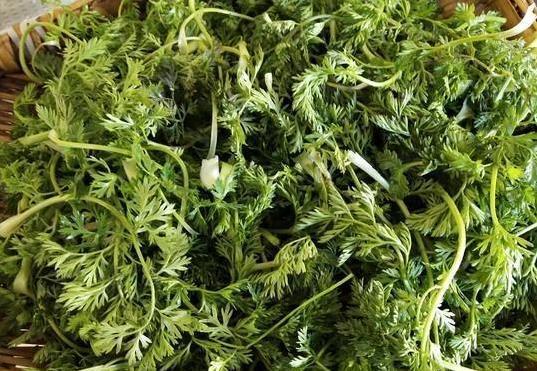 眼睛干涩吃这菜，蒸8分钟清爽上桌，护眼又省钱你试过没？