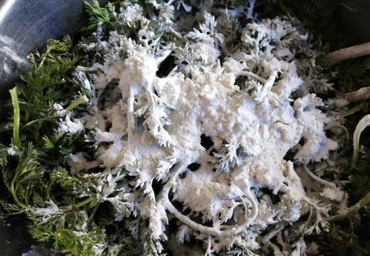 眼睛干涩吃这菜，蒸8分钟清爽上桌，护眼又省钱你试过没？