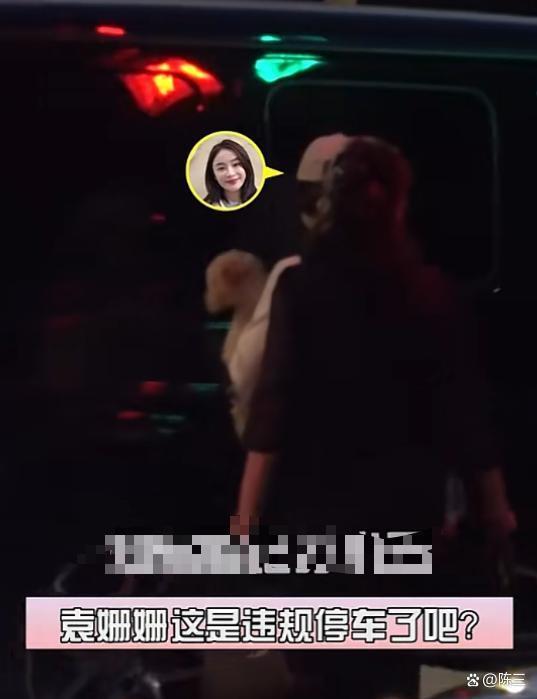 曝袁姗姗违规停车 遛狗温情难掩违章事实
