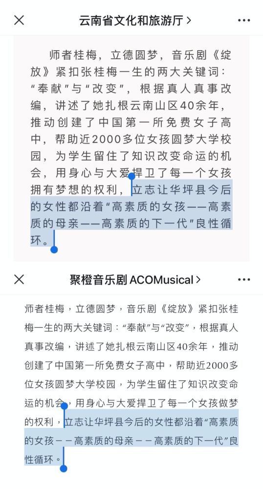 张桂梅音乐剧《绽放》宣传文案引争议 编剧发文回应