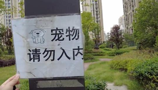 上海儿童被打最新后续：已被警方采取刑事强制措施